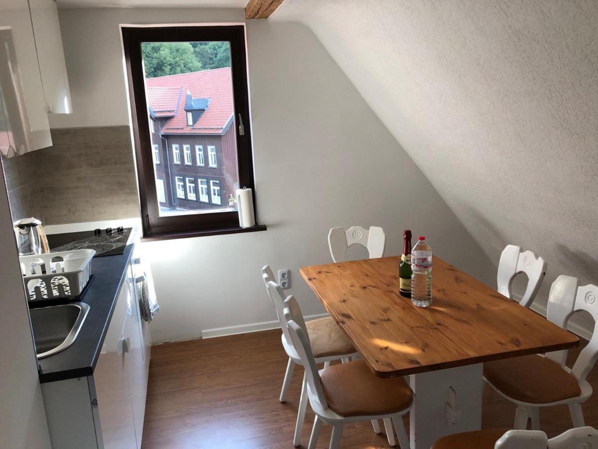 Ferienhaus Art Apartment - Harz Zorge エクステリア 写真