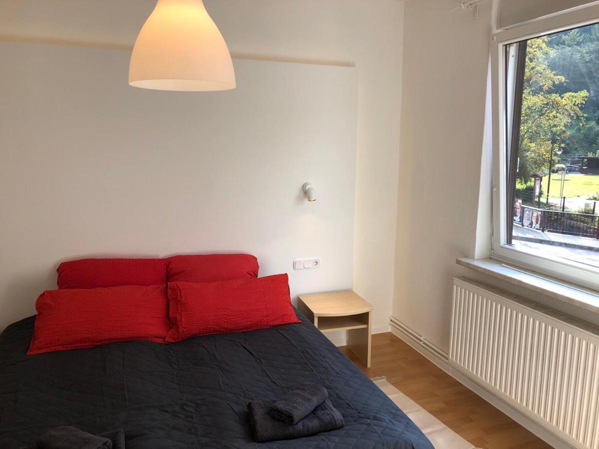 Ferienhaus Art Apartment - Harz Zorge エクステリア 写真