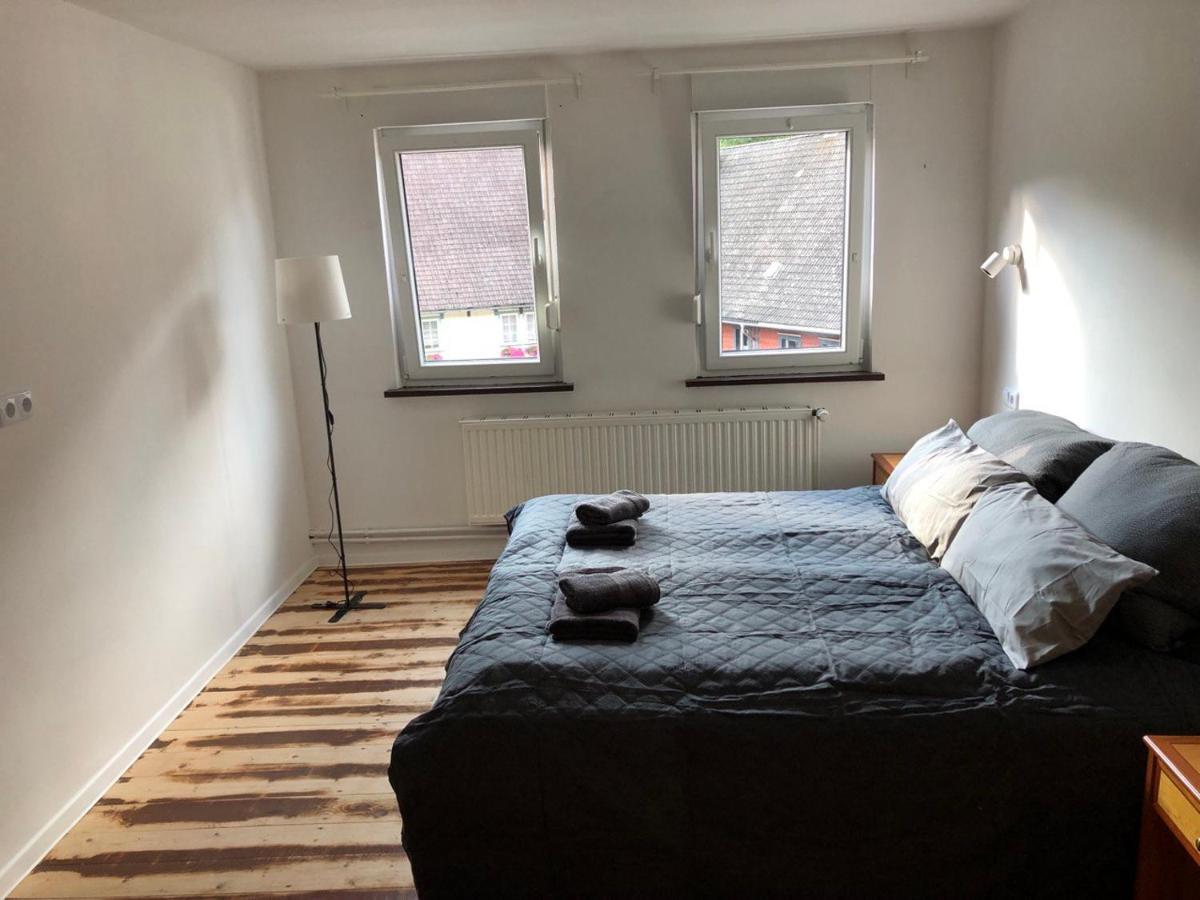 Ferienhaus Art Apartment - Harz Zorge エクステリア 写真