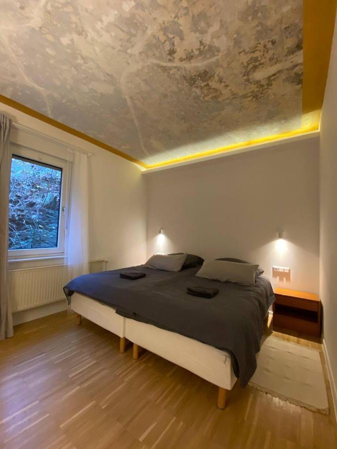 Ferienhaus Art Apartment - Harz Zorge エクステリア 写真