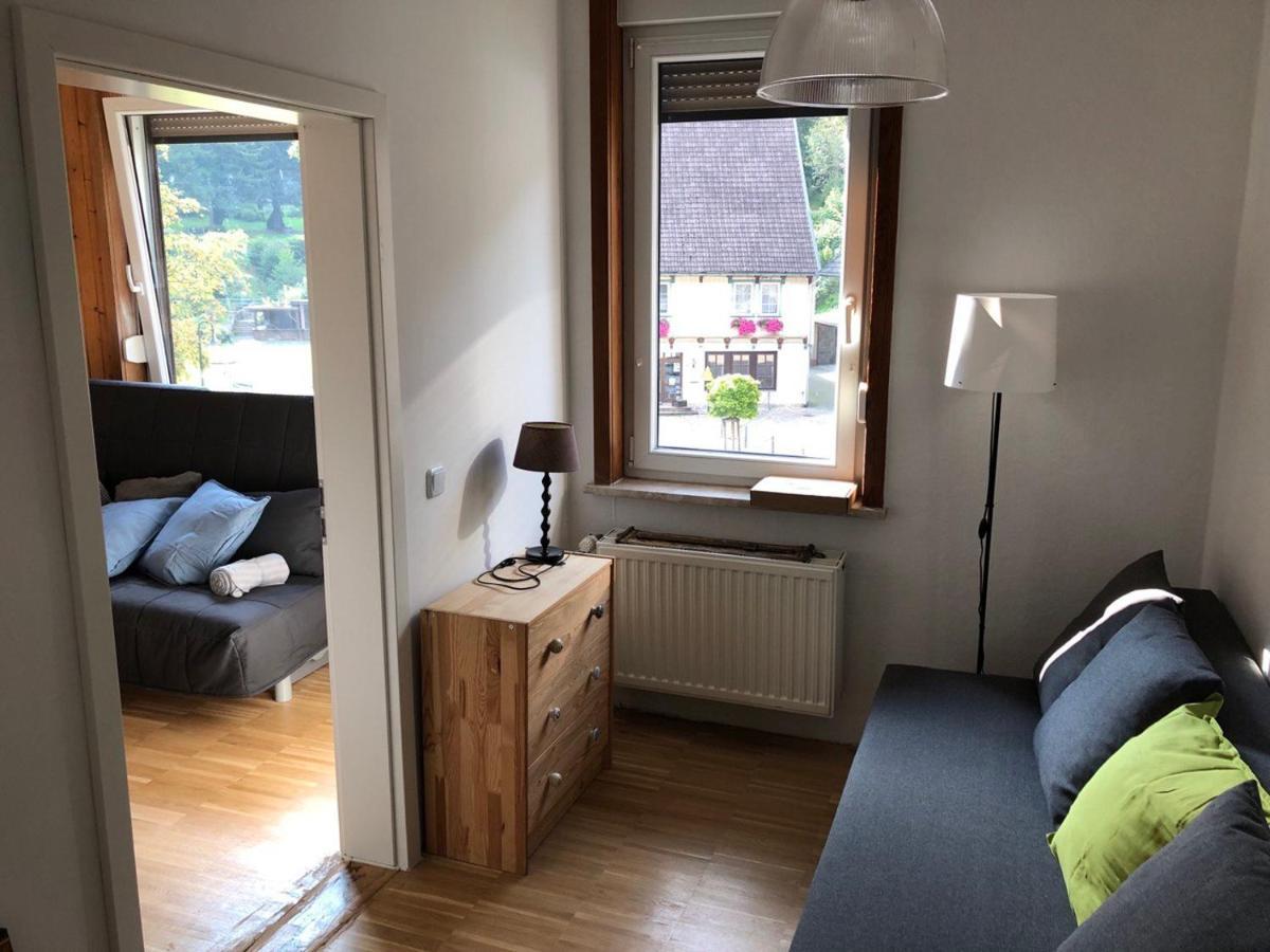 Ferienhaus Art Apartment - Harz Zorge エクステリア 写真