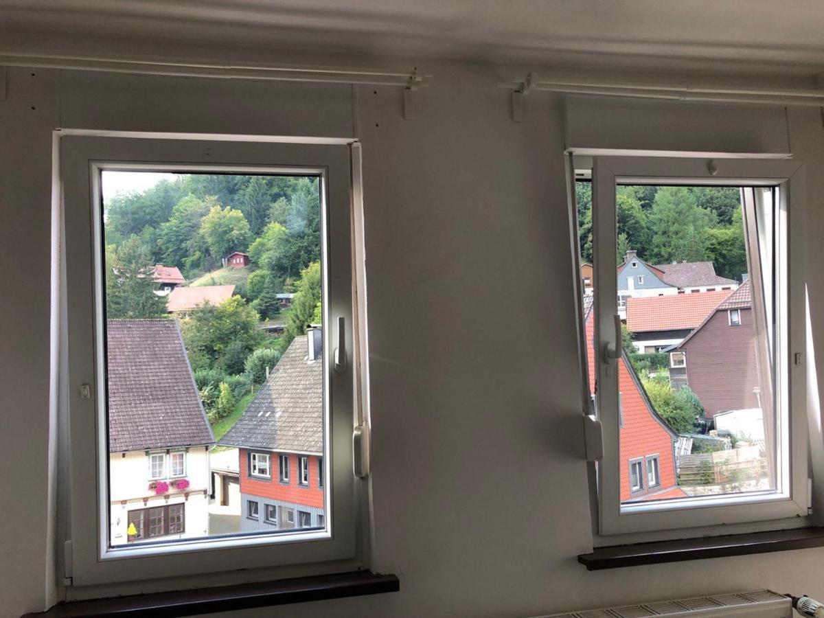 Ferienhaus Art Apartment - Harz Zorge エクステリア 写真
