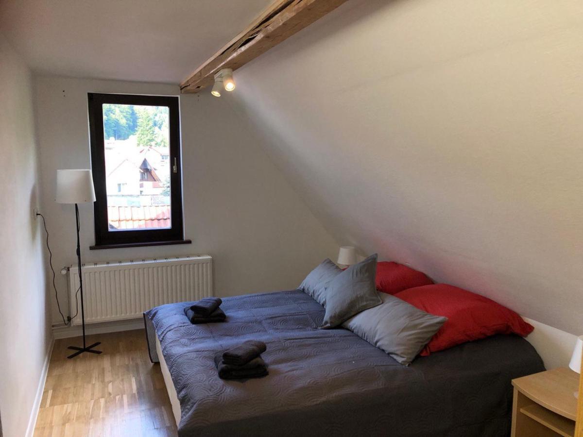 Ferienhaus Art Apartment - Harz Zorge エクステリア 写真