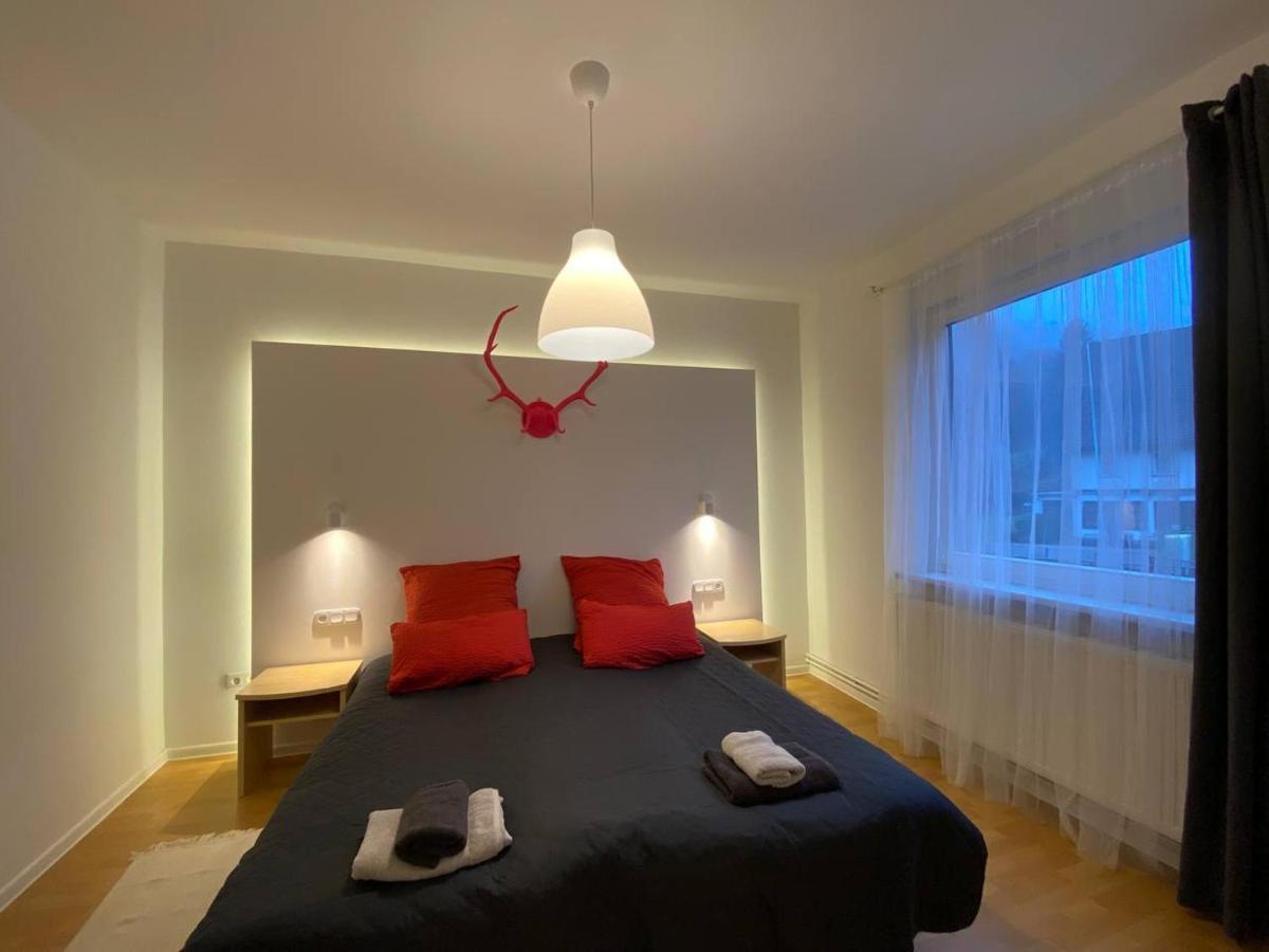 Ferienhaus Art Apartment - Harz Zorge エクステリア 写真