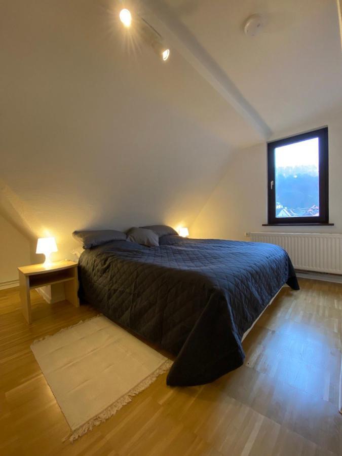 Ferienhaus Art Apartment - Harz Zorge エクステリア 写真