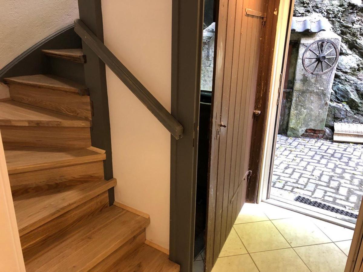 Ferienhaus Art Apartment - Harz Zorge エクステリア 写真