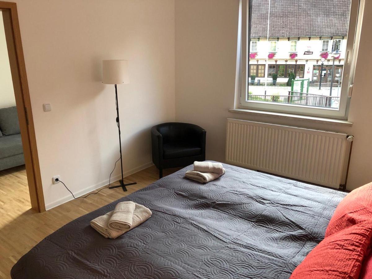 Ferienhaus Art Apartment - Harz Zorge エクステリア 写真