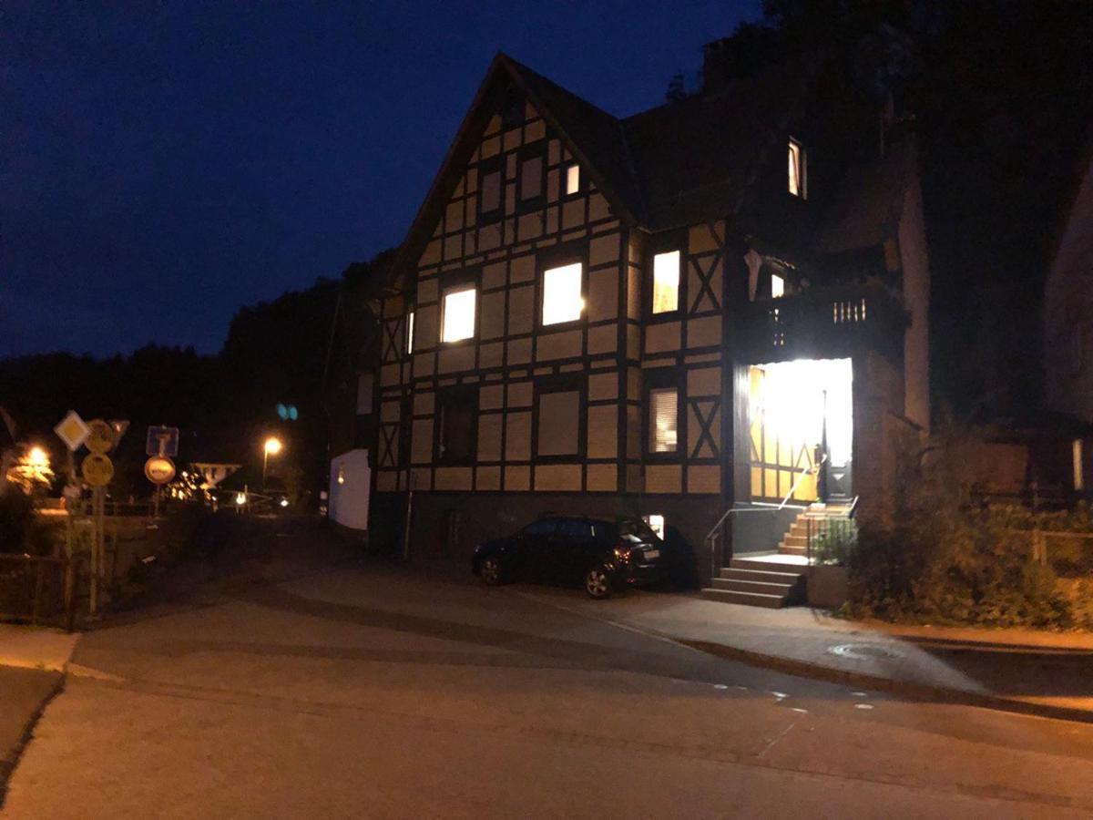Ferienhaus Art Apartment - Harz Zorge エクステリア 写真