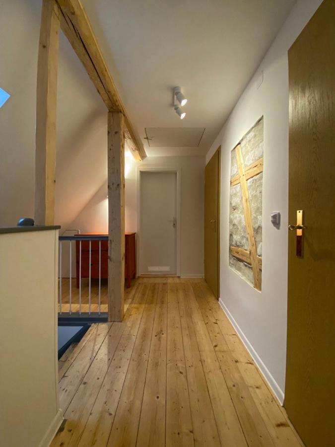 Ferienhaus Art Apartment - Harz Zorge エクステリア 写真