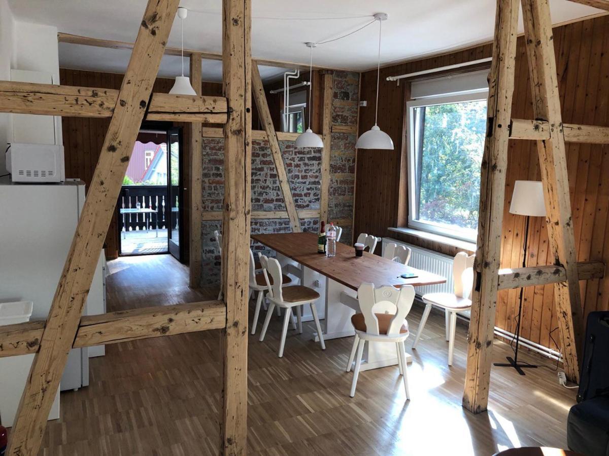 Ferienhaus Art Apartment - Harz Zorge エクステリア 写真